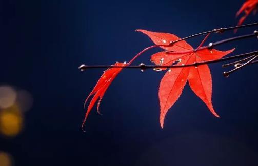 當人死后, 黃泉路上經過的地方! 看醒了很多人