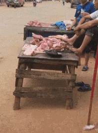 搞笑Gif: 大爷卖肉是认真的! 哈哈不知道是哪里的? 这么有福气能吃上这种肉!