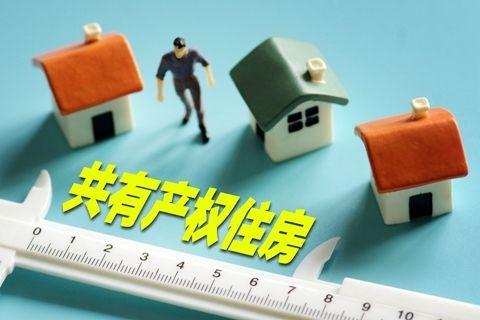 新的政策房来了! 房子你一半政府一半 你愿意吗?