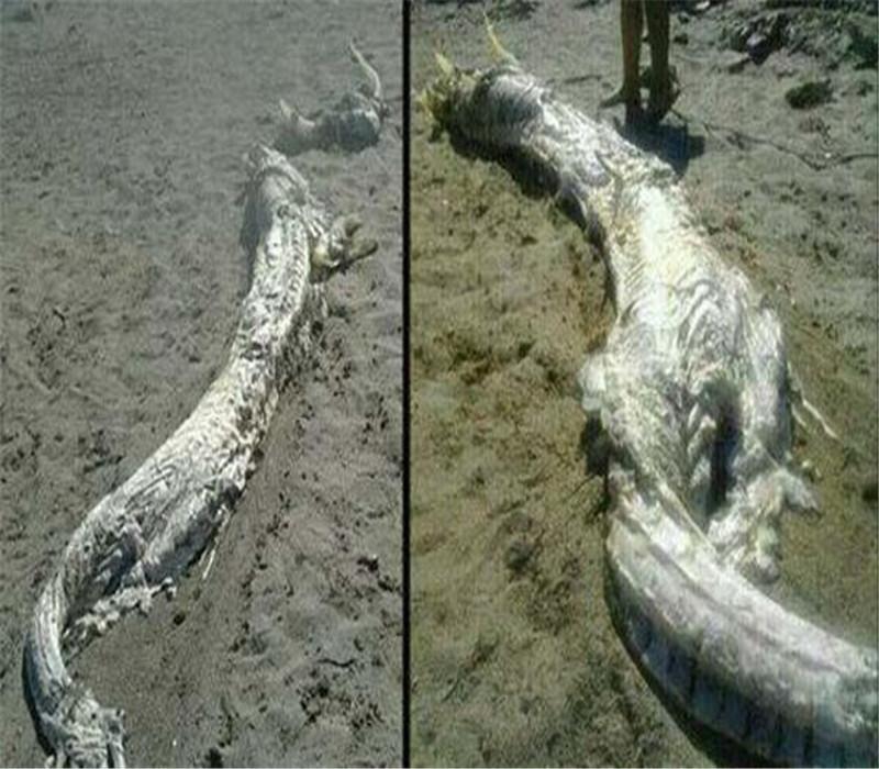 有真龙吗? 真能借尸还魂? 盘点历史上遭封杀的七件奇怪事件