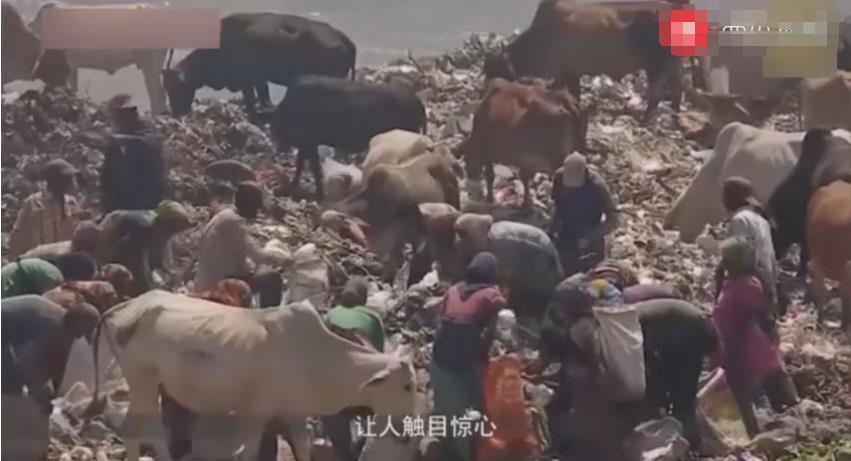 美国: 印度, 你必须把我的垃圾买了。印度: 你咋不找中国呢?