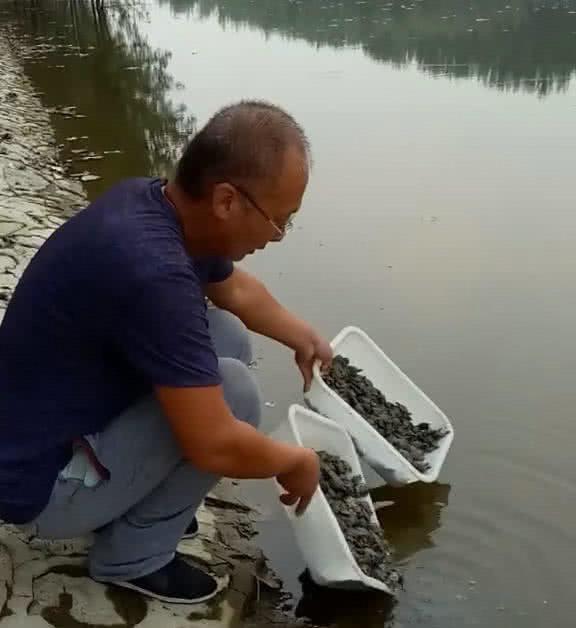 男子自费5000元买甲鱼放生, 却无意中招来了祸事