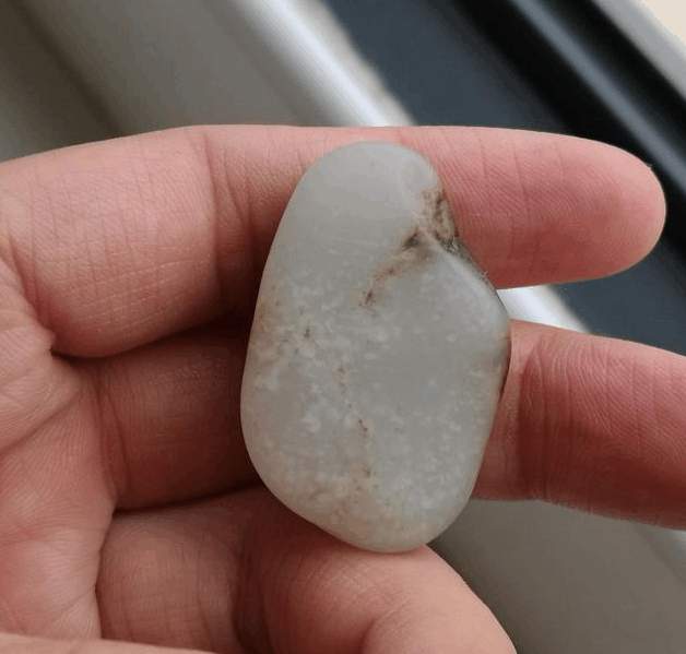 正是不受欢迎的“僵