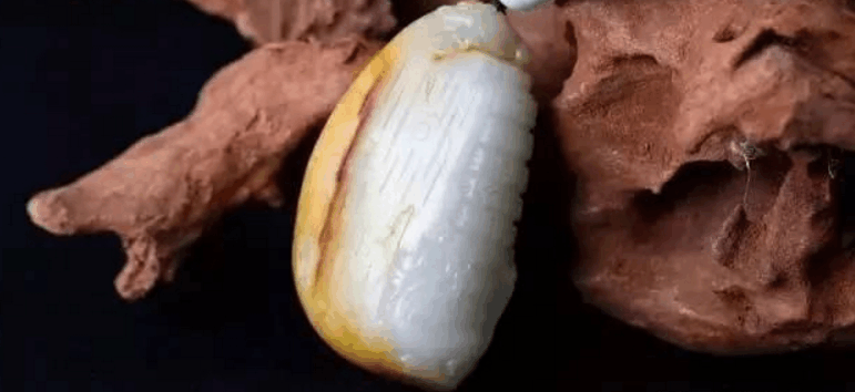 “潜力股”玉石, 以后会越来越值钱, 可惜都不知道