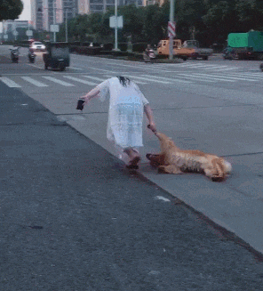 搞笑Gif: 大爷卖肉是认真的! 哈哈不知道是哪里的? 这么有福气能吃上这种肉!
