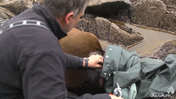 海龟@人类到底有多作孽? 一组图看清人类多么残忍