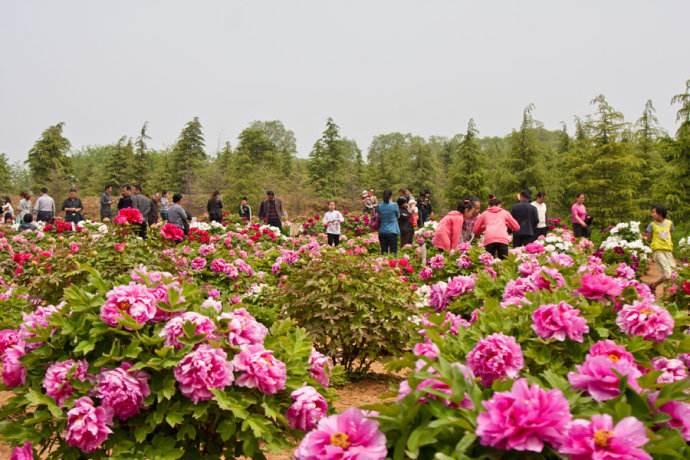 中国这个城市虽号称千年老二，却是中西部非省会城市之首