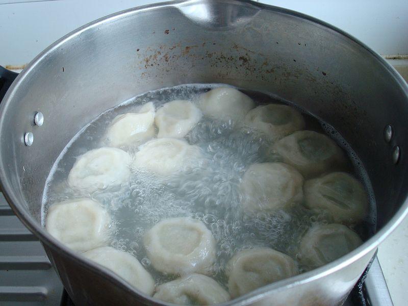 再不吃就成草的苜蓿羊肉饺子 再不吃就成草的苜蓿羊肉饺子