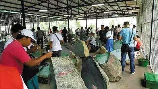 一刀切出了富翁, 一刀也切出了疯子!