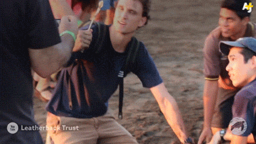 海龟@人类到底有多作孽? 一组图看清人类多么残忍