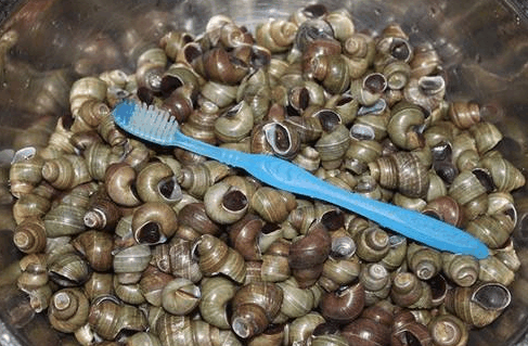 越脏越肥越好吃, 城里人有钱买不到