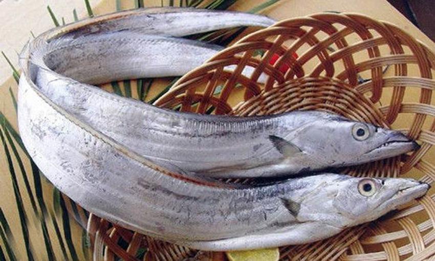 世界上最好吃的鱼系列, 你吃过几种?