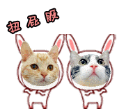 以为养猫很幸福, 谁想是噩梦的开始! 这3种原因一直导致猫咪咬人