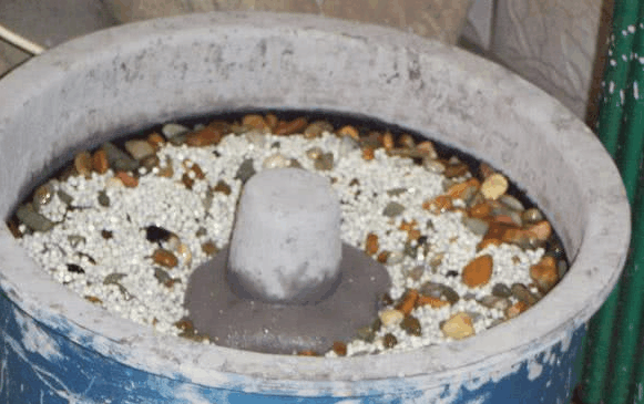 玉变好了这不是作假吗? 刚挖出来的籽料原石都要“处理”一下