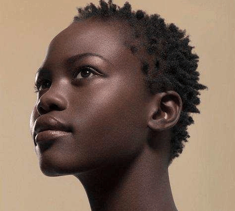 中国学者: 现代中国人是白种人和黑种人混血的棕色人种的后代