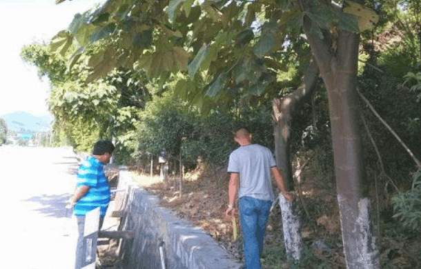 籽料——风大了, 母猪都能飞上天