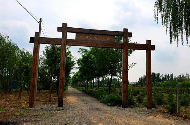 為什么濟南有“住東不住西，住南不住北”一說