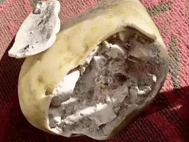 倾家荡产买的这块玉, 居然是水泥做的