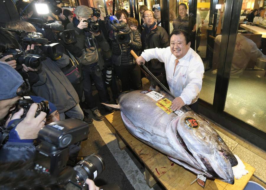 世界上最好吃的鱼系列, 你吃过几种?