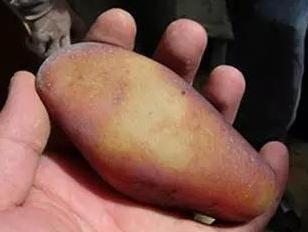 籽料版的“蒙娜丽莎”来了, 你看像什么?