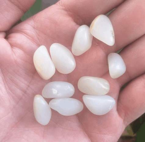 和田玉的传播到底有多少是真事, 多少是炒作, 以事实说话