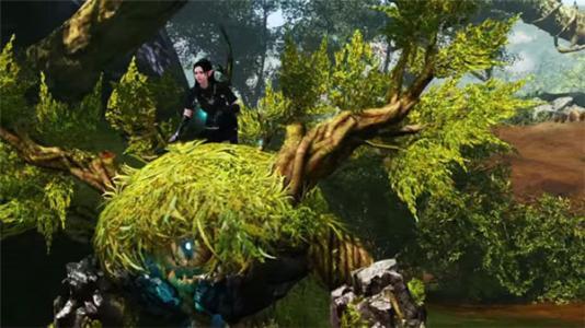 一個飛行員掛在樹上70年, 竟然沒人發現, 發現后身上都長滿了樹枝