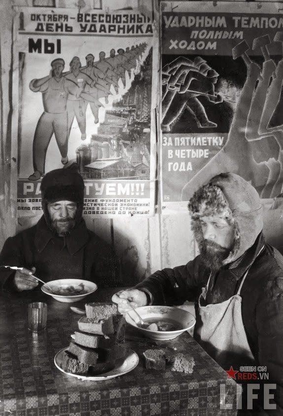 罕见的世界历史照片: 照片记录下的历史时刻, 被最后一张所触动