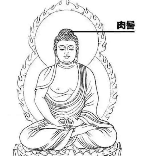 如來佛頭上的是什么? 不是頭發