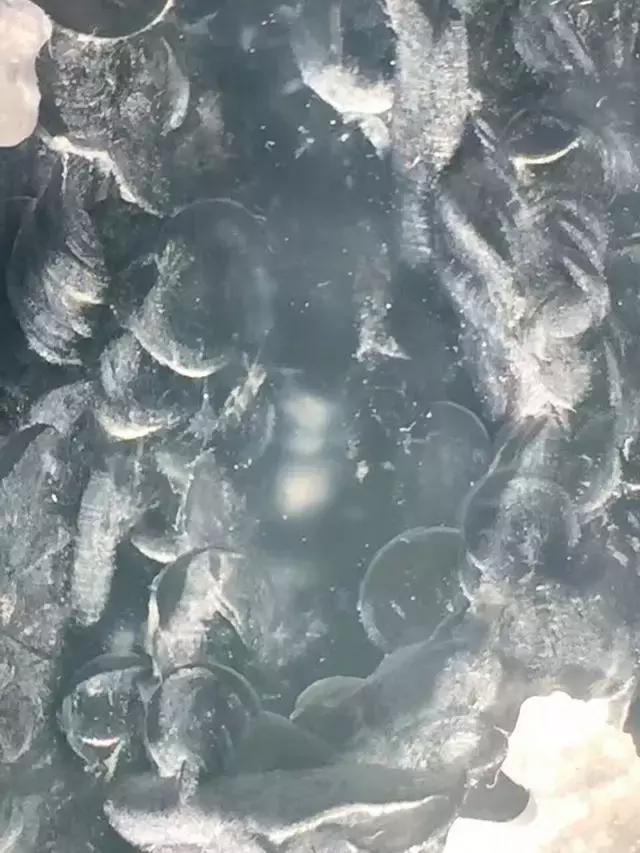 男子拿百万赌玉, 妻子和别人跑了, 差点沦为乞丐, 这块料子救了他