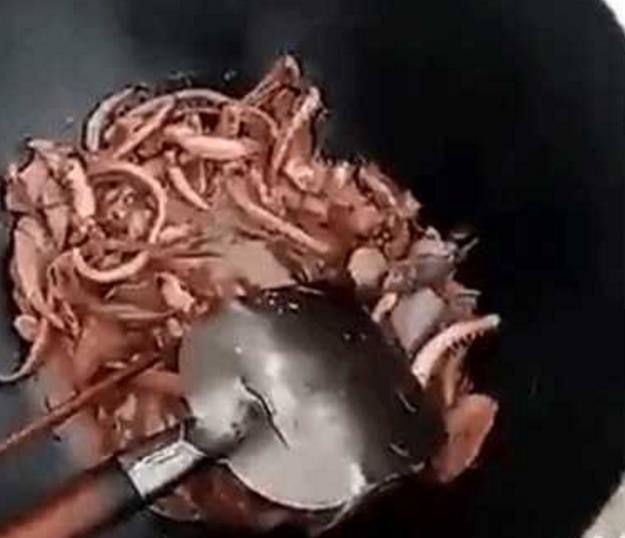 小伙喜欢吃鱿鱼, 在超市买了鲜鱿鱼回来自己做, 却发现鱿鱼有白斑