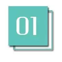 中国的傻子, 一半在抖音, 一半在快手