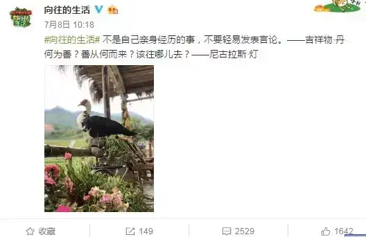 包容艺人造假、抄袭侵权,粉丝失格算不算娱乐圈最大的魔幻事件? 包容艺人造假、抄袭侵权,粉丝失格算不算娱乐圈最大的魔幻事件?
