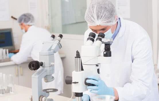 玛雅水晶头颅, 13颗头颅放在一起会说话?