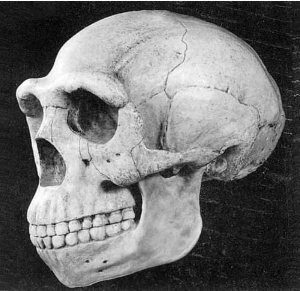 銷聲匿跡的9大鎮國之寶, 價值無法估量, 有三件可能會在秦始皇陵