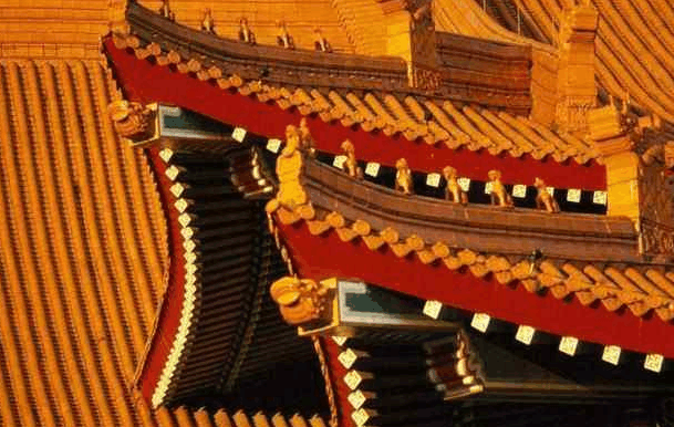 600年來故宮的屋頂為什么沒有鳥糞? 專家: 佩服古人的智慧