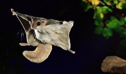 在课本上, 你是找不到这些冷知识的