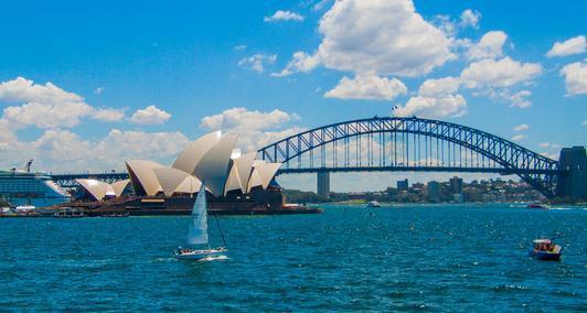 一個飛行員掛在樹上70年, 竟然沒人發現, 發現后身上都長滿了樹枝