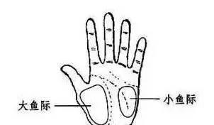 最齐全的穴位调理百病-大鱼际 小鱼际位置图