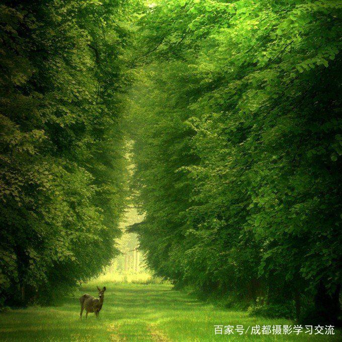 a3d4f53deacbbd32d77deb8efcaa33dbx680x680x117.jpeg;,4,jpegx;3,700x.jpg