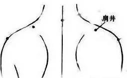 拍打肩井穴位置图