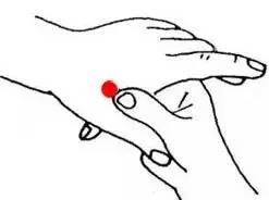 最齐全的穴位调理百病-虎口穴(合谷)位置图