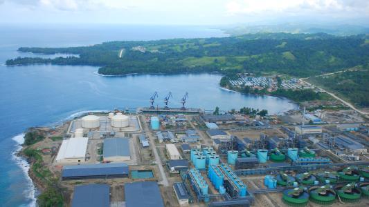 一個飛行員掛在樹上70年, 竟然沒人發現, 發現后身上都長滿了樹枝