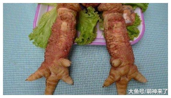 越南神秘的東濤雞, 身價超萬元, 曾是王室祭祀貢品!