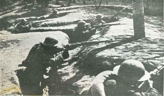 臺兒莊大捷, 我軍陣亡5萬余人, 日軍陣亡多少? 說了你可能不信