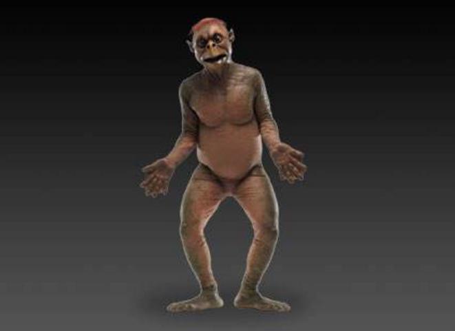 盘点5种诡秘的未知生物, 第3种已证实一定存在