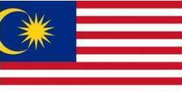 世界上除了中国以外, 还有哪些国家也会讲普通话?