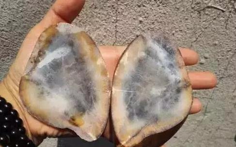 一刀切出了富翁, 一刀也切出了疯子!