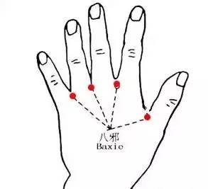 最齐全的穴位调理百病-对击八邪穴位置图