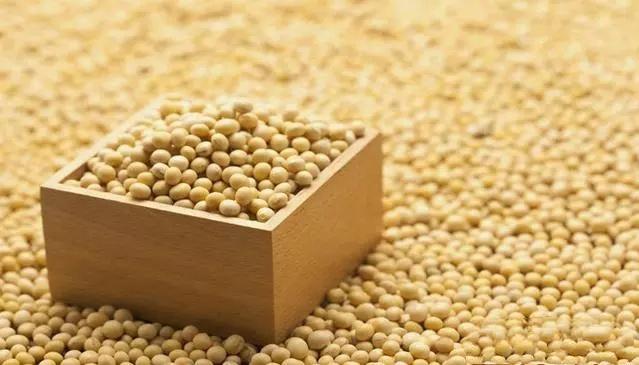 一大波支援正在赶来! 俄罗斯大豆、猪肉和原油对中国敞开供应