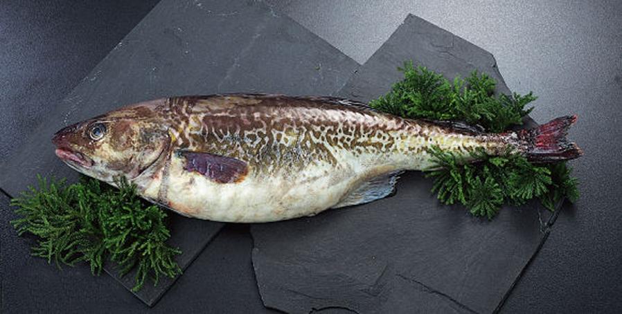 世界上最好吃的鱼系列, 你吃过几种?